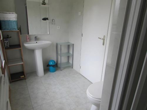 莫雷勒斯Gîte Nénuphar - Gîtes Au Bas Marais的带水槽和马桶的白色浴室