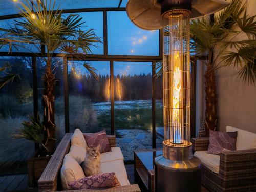 a cat sitting on a couch in a room with a large window at Strefa ZEN z Jacuzzi i Basenem in Żerniki Wroctawskie