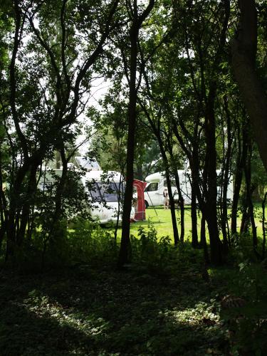 a forest of trees with a red phone booth at The Olde Windmill Inn in Great Cressingham
