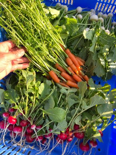 Φωτογραφία από το άλμπουμ του 稲花 TŌKA Stay&Resot σε Kitsuki