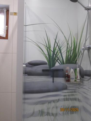 szklane drzwi prysznicowe z rośliną w łazience w obiekcie DieLangthalers Exklusive Oase w mieście Seiersberg