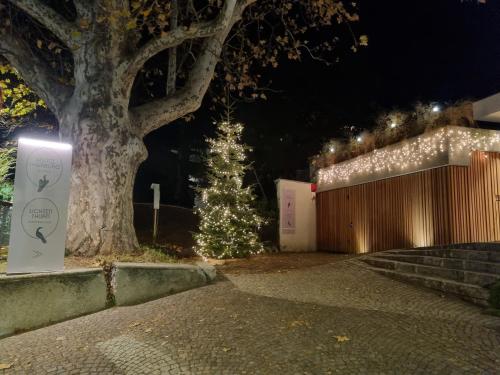 a christmas tree in front of a fence with lights at Ansitz Thierburg Suites in Merano