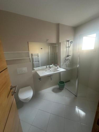 une salle de bains avec toilettes, lavabo et douche dans l'établissement Ilidza Suite, à Sarajevo