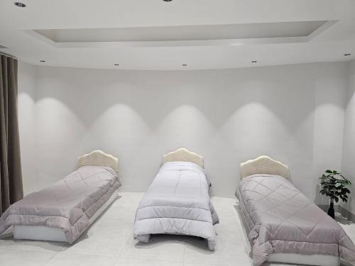 尼兹瓦Alwadi view شرفة الوادي的白色房间里有两张床和一张床垫。