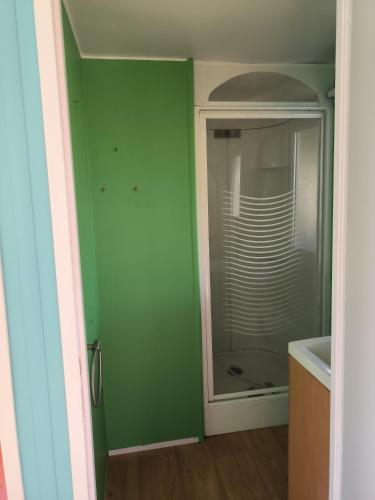 a bathroom with a green wall and a glass door at ETANG PRE DE LA FONT in Cercles