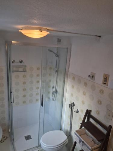 un bagno con doccia e WC di Casa Sirena a Canale dʼAgordo