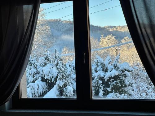 een raam met uitzicht op met sneeuw bedekte bomen bij Apartament Gór-SKI in Wisła