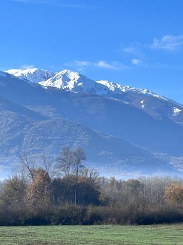 度假屋周边自然景观