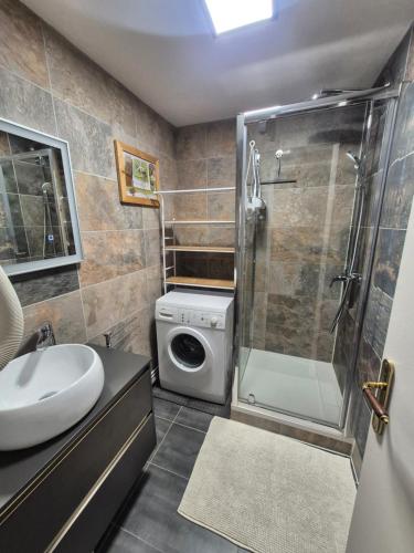 ein Badezimmer mit einem Waschbecken und einer Waschmaschine in der Unterkunft Les Mélèzes in Saint-Chaffrey