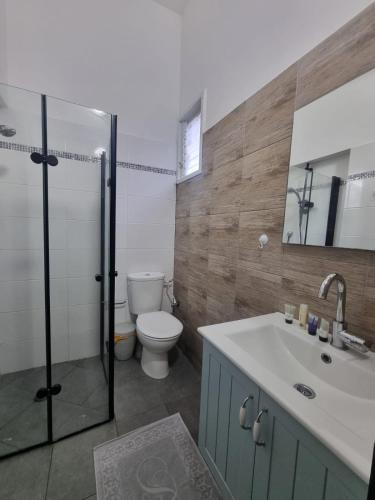a bathroom with a toilet and a sink and a shower at pinsker apartment city center in Petaẖ Tiqwa
