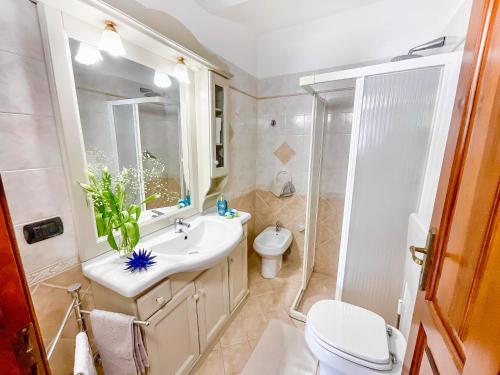 a bathroom with a sink and a toilet and a shower at Casa Francesco Seaside in Sant'Angelo D'Ischia