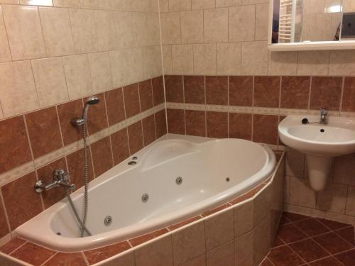 a bathroom with a tub and a sink at Hotel Filippi in Ždírec nad Doubravkou