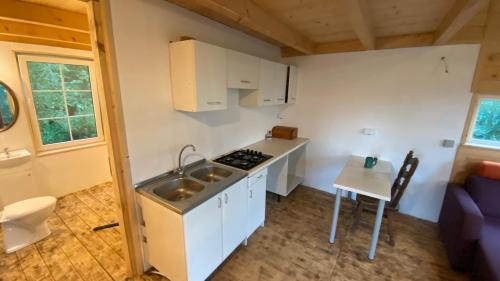 a small kitchen with a sink and a stove at Brzozowe Rancho in Lublinów