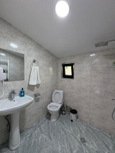 SadgeriPanorama Sadgeri的带马桶和水槽的浴室