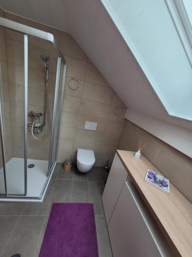 a attic bathroom with a shower and a toilet at Le Pigeonnier in Dombresson