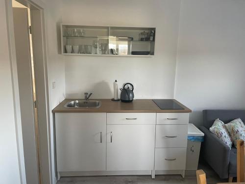霍尼普拉纳Apartmány PRO LIPNO的带水槽和柜台的小厨房