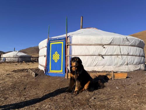 Nomadic home stay
