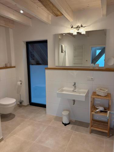 a bathroom with a sink and a toilet and a mirror at Gulfhof Wangermeer 2 Tilda in Hohenkirchen