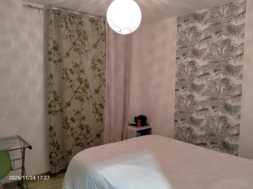 sypialnia z białym łóżkiem, zasłoną i lampą w obiekcie Chambres d'Hôtes & Studio L'Hosting Noix w mieście Hostun
