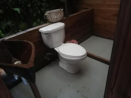 a bathroom with a toilet in a bath tub at casa colibri cañón de rio dulce in Lívingston