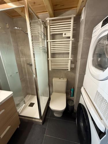a small bathroom with a toilet and a shower at Cozy Lac - Puyvalador in Puyvalador