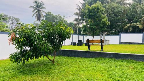 Jardín al aire libre en Alex's Place