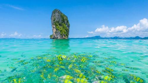 Phong cảnh thiên nhiên gần nhà khách