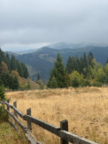Naturlandskabet i nærheden af chaletet
