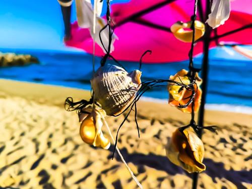 William's apartments - second cozy studio