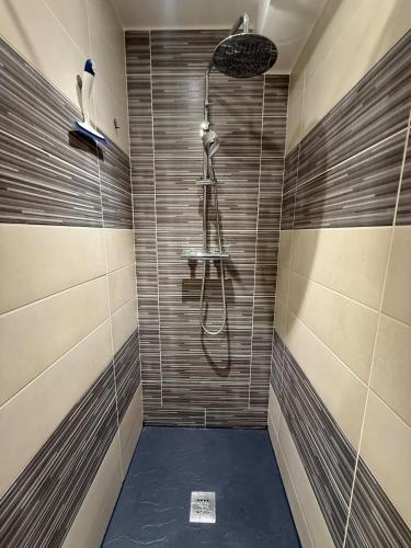 a shower with a shower head in a bathroom at Studio cozy à Lagnieu in Lagnieu