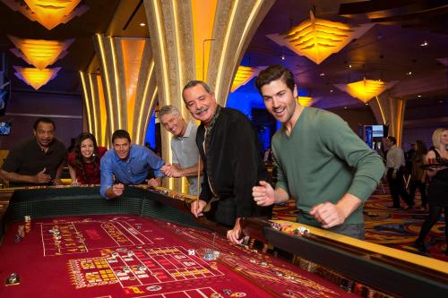 Hosté ubytování Hollywood Casino St. Louis