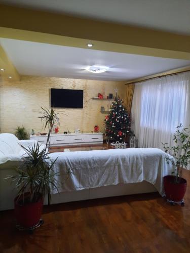 ein Zimmer mit einem Weihnachtsbaum und einem Bett mit Pflanzen in der Unterkunft MihaiResidence in Craiova