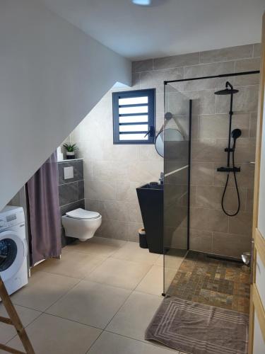 Bras-PanonArbre à pain的带淋浴、马桶和水槽的浴室