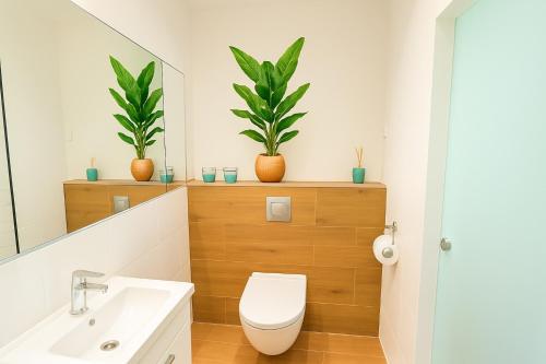 Un baño con inodoro y dos plantas en macetas. en Cozy M3 at Pojezierska Street, en Łódź