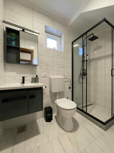 a bathroom with a toilet and a shower and a sink at M&M Trebinje in Trebinje