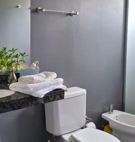 a bathroom with a white toilet and a sink at Alto Las Loicas B&B in Esquel