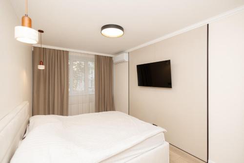 Modern & Cozy 1-Bedroom Apartment in Chisinau