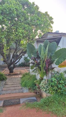 Κήπος έξω από το Zomad Hostels Pondicherry, Auroville Road