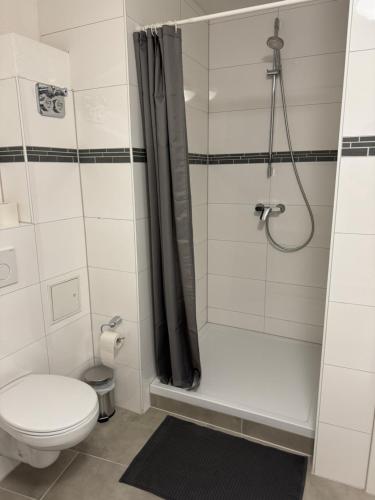 a bathroom with a white toilet and a shower at Monteurzimmer Renix Heilbronn in Brackenheim