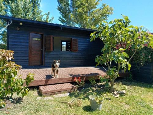a dog standing on a wooden deck in front of a house at Casa Nina in Camet Norte