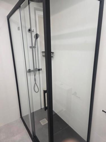 a shower with a glass door in a bathroom at Sweet Dreams Olivares in Talavera de la Reina