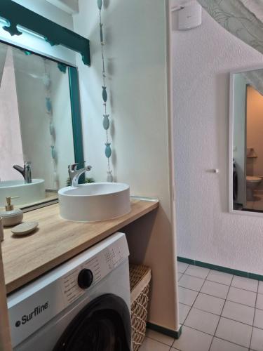 a bathroom with a sink and a washing machine at On Ze Rock in Le Diamant