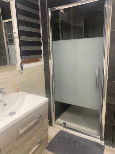 a bathroom with a shower and a white sink at Le Havre de Bois in Bourbourg