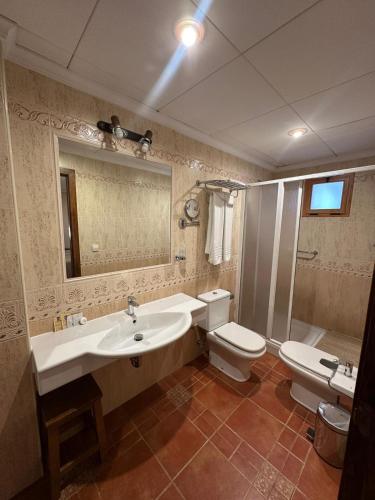 a bathroom with a sink and a toilet and a mirror at HOTEL Doña Isabel in Torrellano