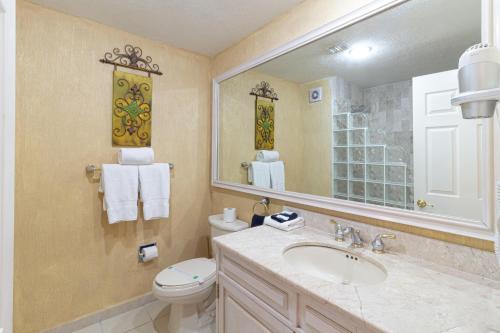 een badkamer met een wastafel, een toilet en een spiegel bij Sonoran Spa W608 in Campo del Medio