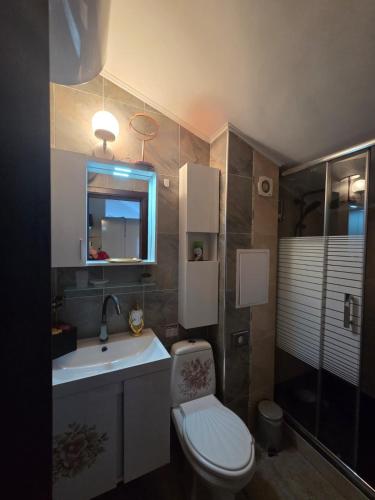 a bathroom with a toilet and a sink and a mirror at Аppartment Dreams in Pamporovo