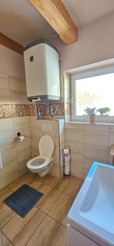 a bathroom with a toilet and a sink and a window at Chalupa Petra in Dolní Morava
