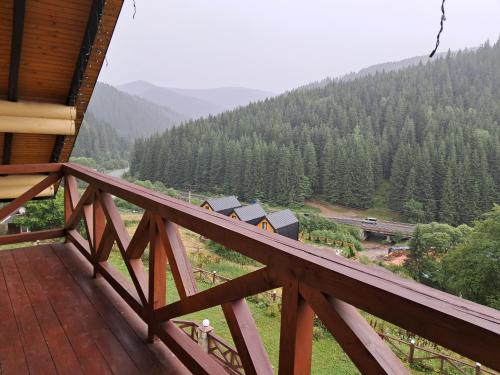 a view from the balcony of a house with a train at FAMILY еко номери та будинки in Yablunytsya