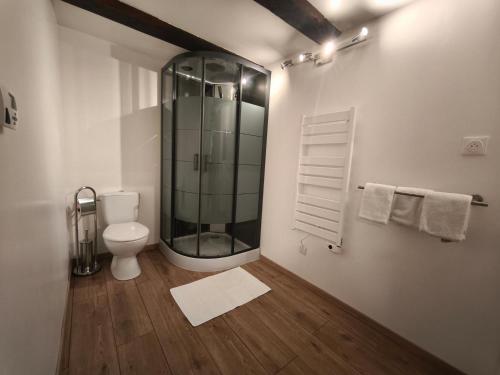 a bathroom with a toilet and a glass shower at Studio La Maison des Suedois in Saint-Pierre-Bois