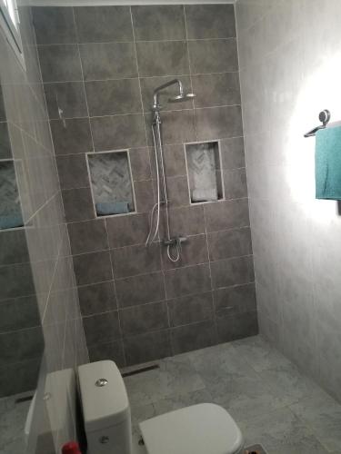 a bathroom with a shower and a toilet at Appartement Oasis Chenini Gabes in Shanīnī